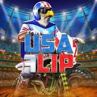 USA Flip